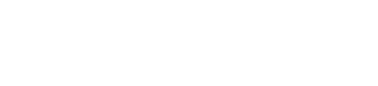 Panini