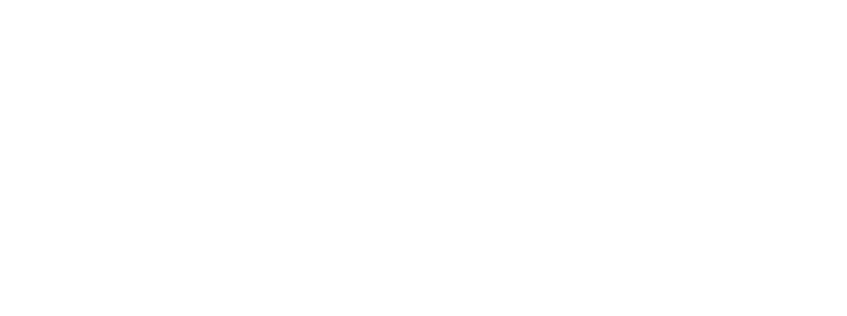 Arezzo &Co